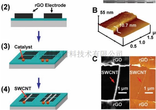 rGO負(fù)載單壁碳納米管1.png